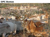 OPCBomas