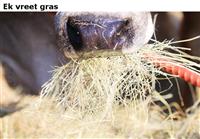 Ek vreet gras