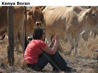 KenyaBoran